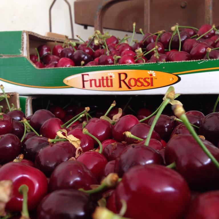 Agriturismo Fruttirossi Trofarello Kültér fotó