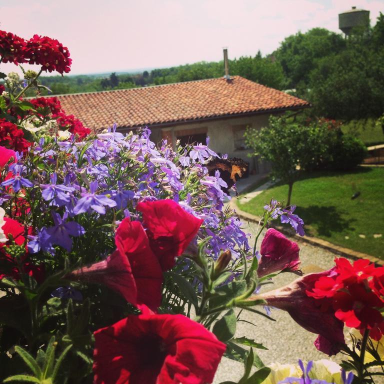 Agriturismo Fruttirossi Trofarello Kültér fotó